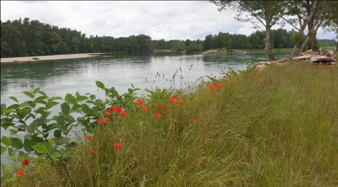Appartement Drava 1 Donja Dubrava Екстериор снимка